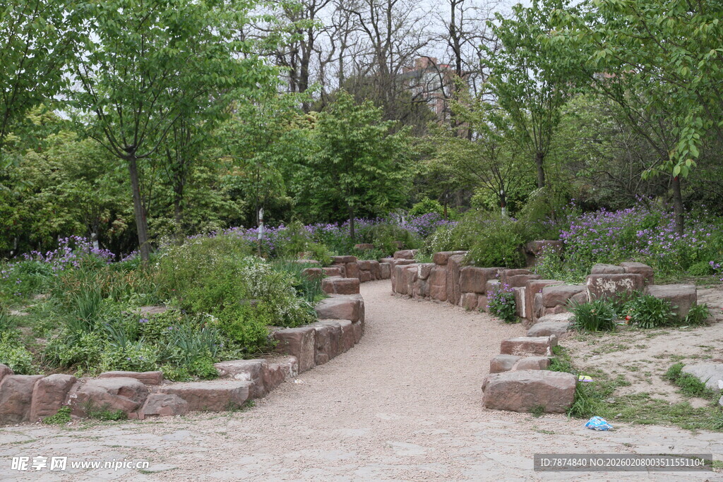 林间石径 自然静谧景致