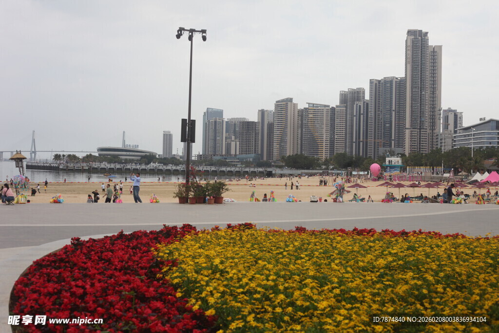 海滨城市花坛与高楼景观