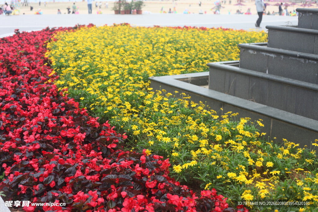 多彩花卉装点台阶景观