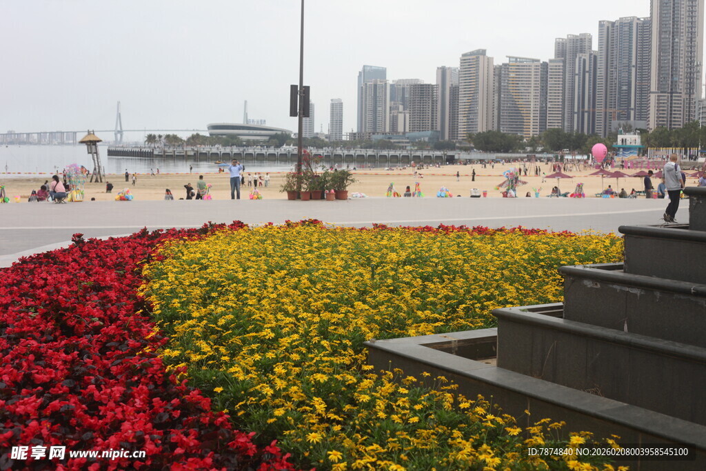 海滨花坛与城市风光