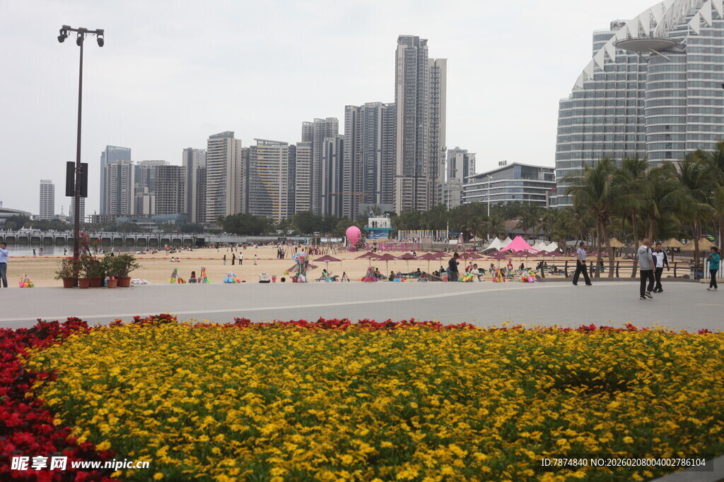 海滨城市花坛与高楼景观