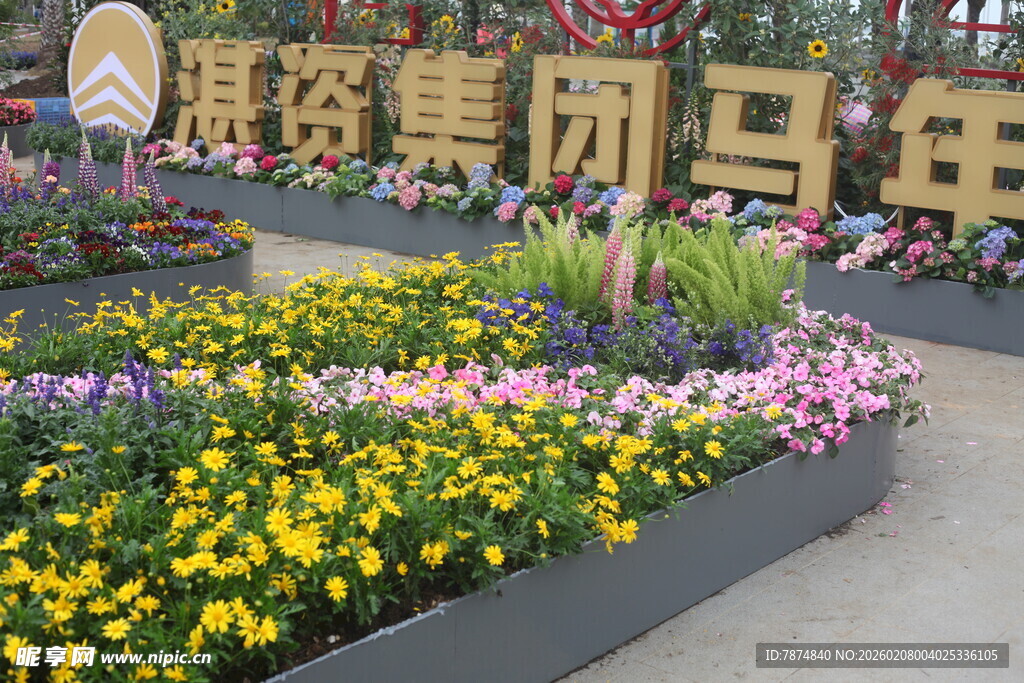 缤纷花卉装点集团景观