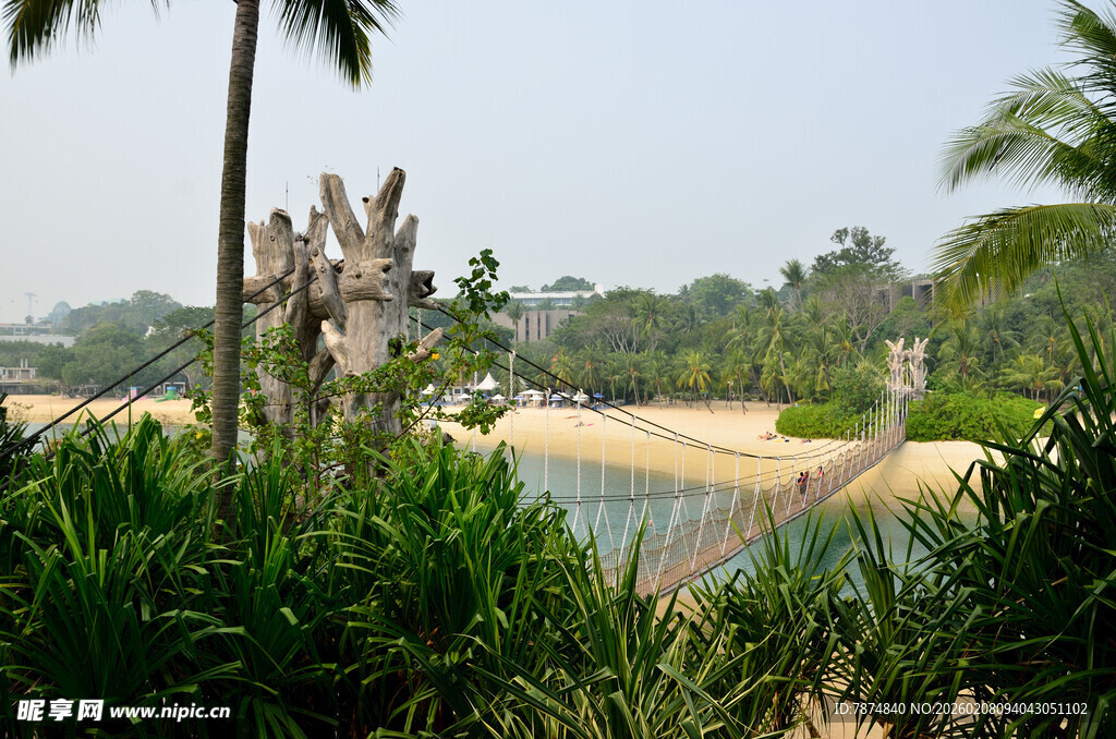 热带风光中的古老建筑景观