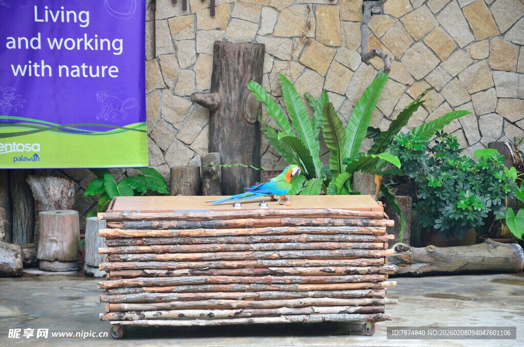 木质花盆架 绿植相伴