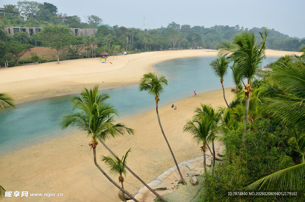热带海滨风光 椰林沙滩美景