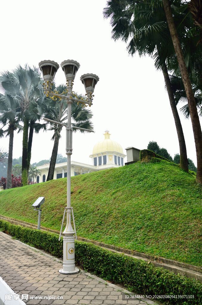 公园中的路灯与绿植景观