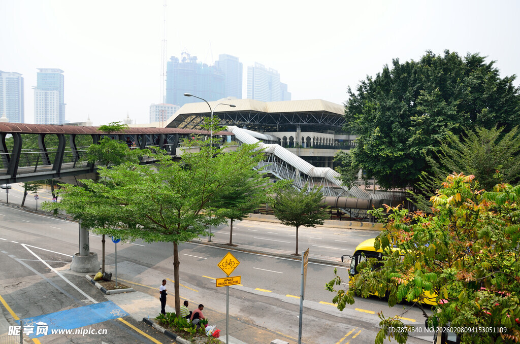 城市道路旁的绿树与建筑