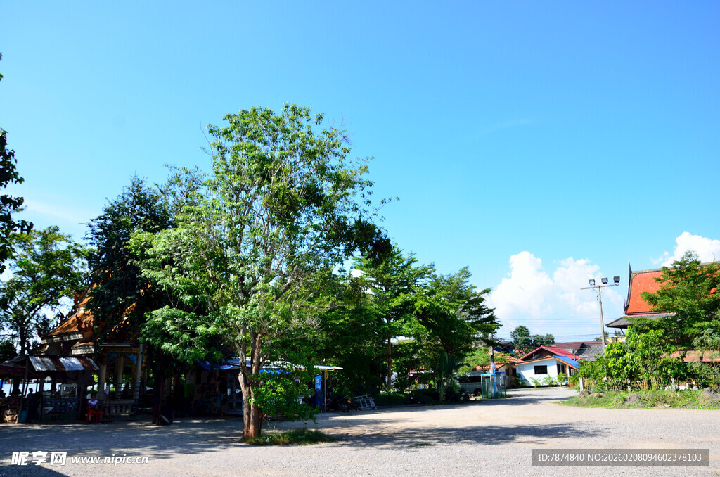 乡村开阔场景 绿树蓝天
