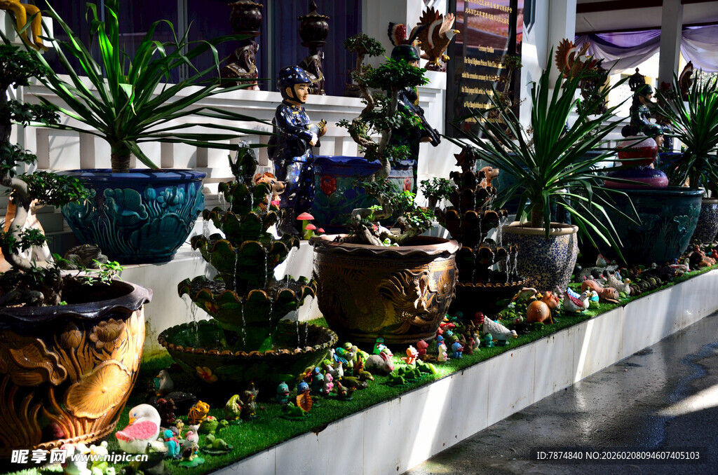 多样盆栽装点室内空间