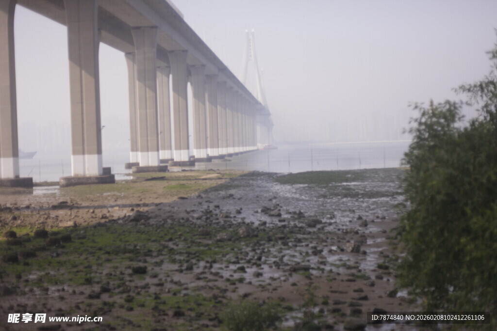 湛江雾中大桥下的泥泞河岸