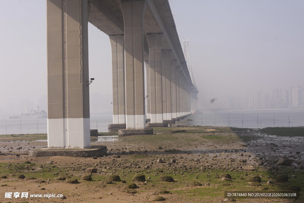 湛江大桥近景 桥墩矗立江畔