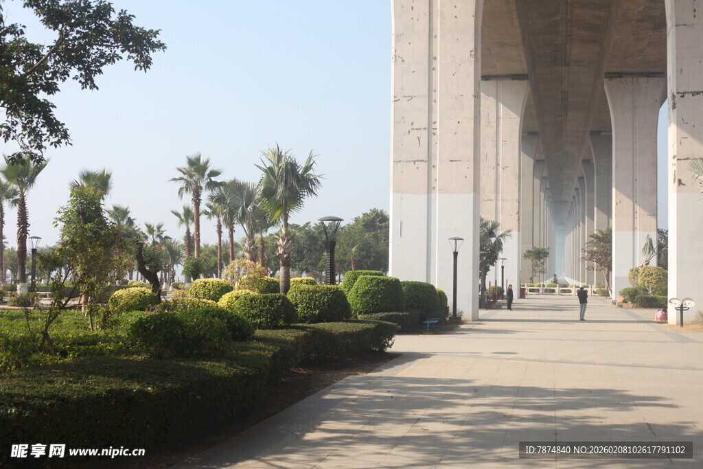 湛江城市中高大建筑旁的景观道