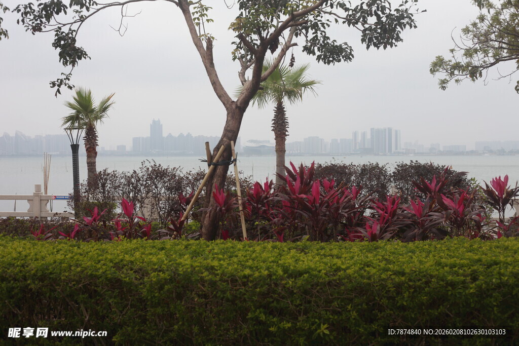 湛江湖畔绿植景观 繁花相伴