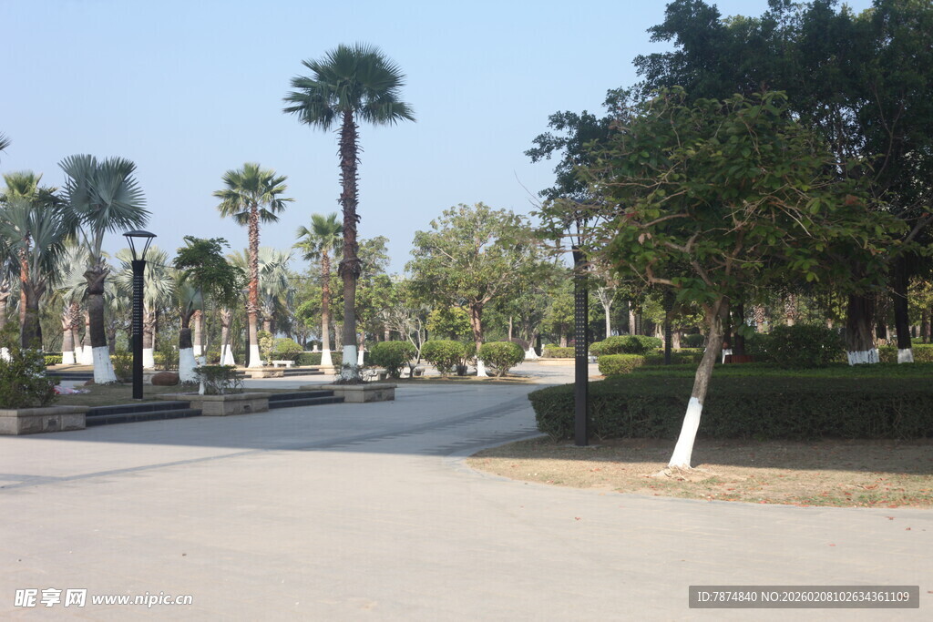 湛江城市中的林荫道路景观