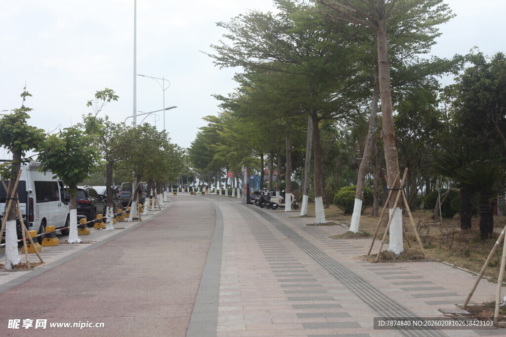 湛江城市林荫步道景观
