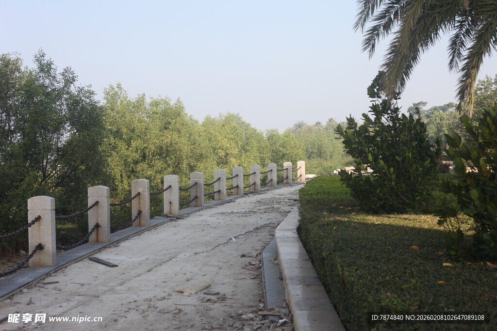 湛江乡村林荫小道景观