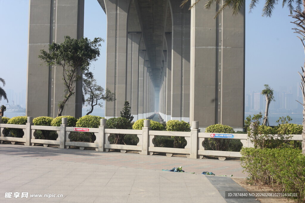 湛江宏伟桥梁下的绿植景观