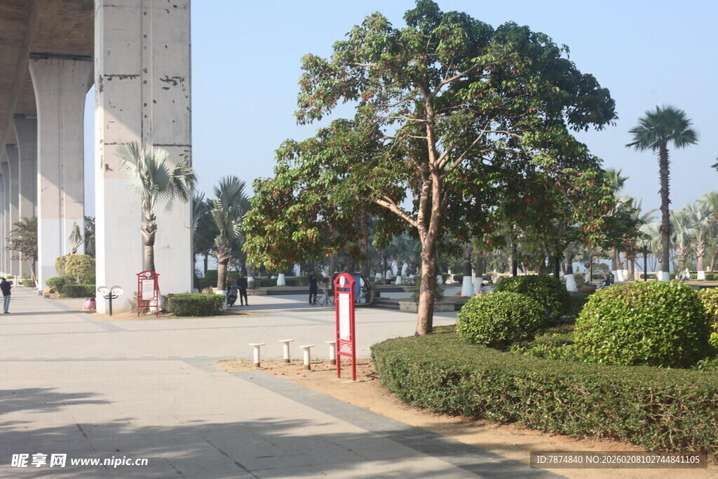 湛江城市街道旁的绿化景观