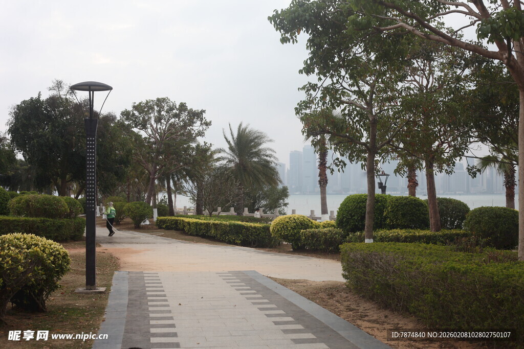 湛江海滨公园林荫步道景观