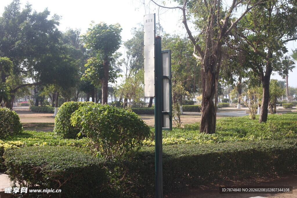 湛江城市公园中的绿植景观