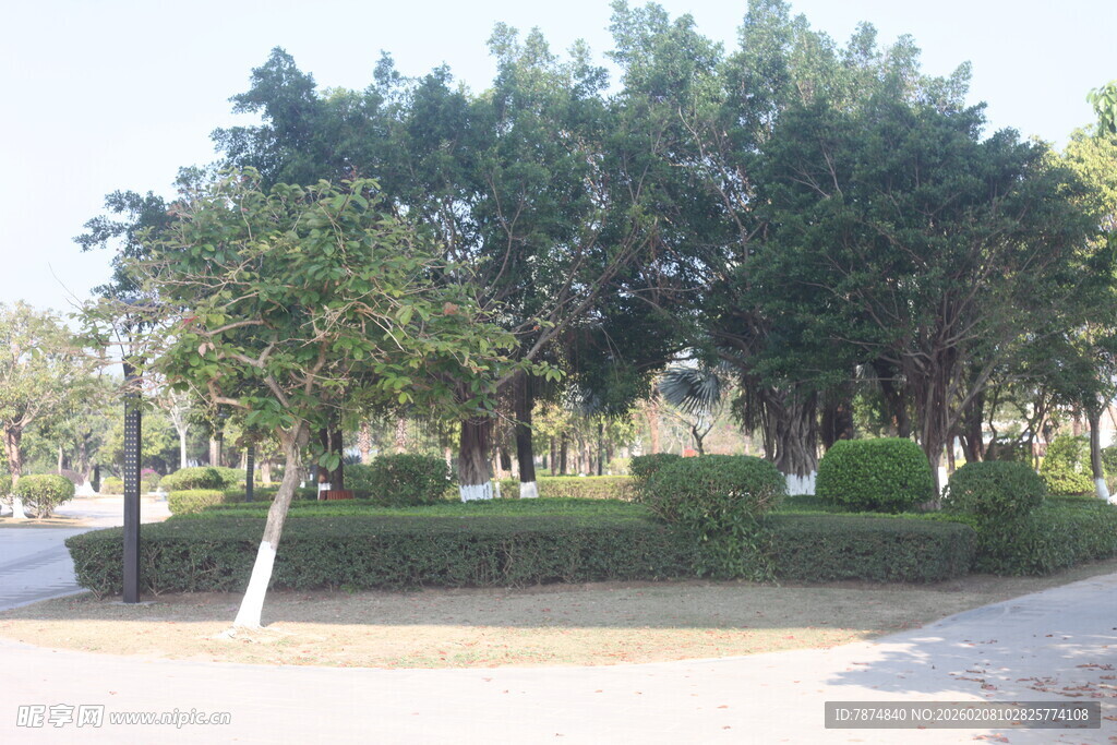 湛江城市公园绿树成荫景观