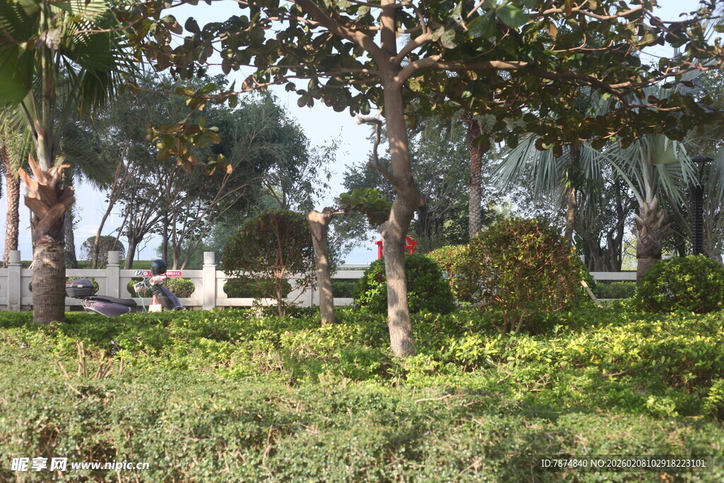 湛江绿意盎然的户外园林景观