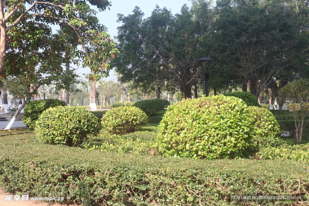 湛江园林绿植景观