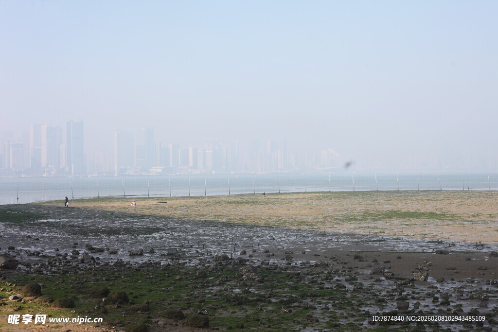 湛江海滨滩涂景观