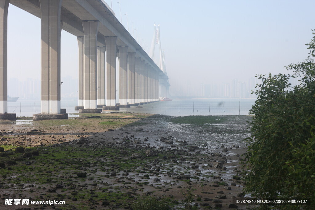 湛江跨海大桥远景