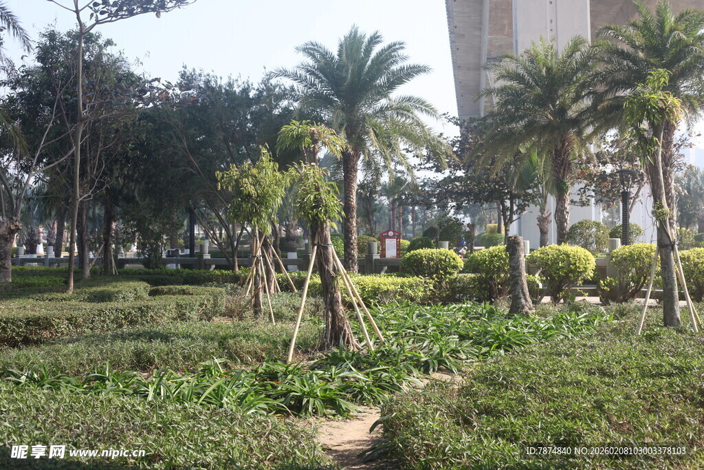 湛江城市中的绿植景观小径