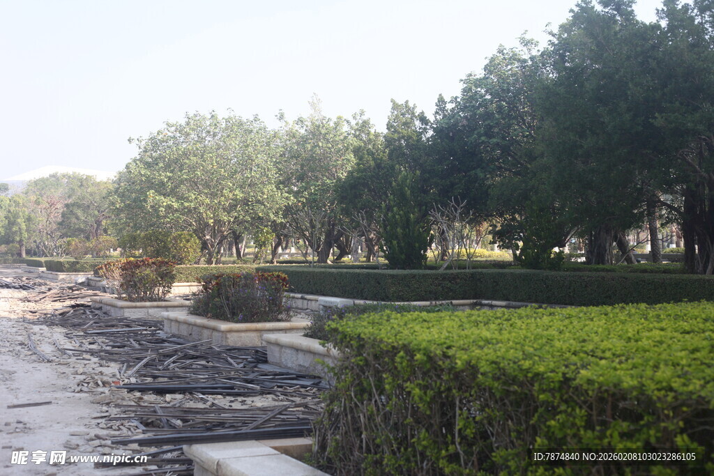 湛江乡村河畔绿意盎然景色