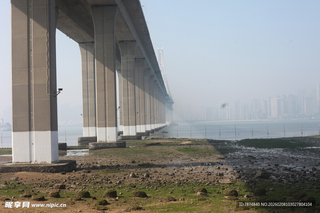 湛江跨海大桥近景