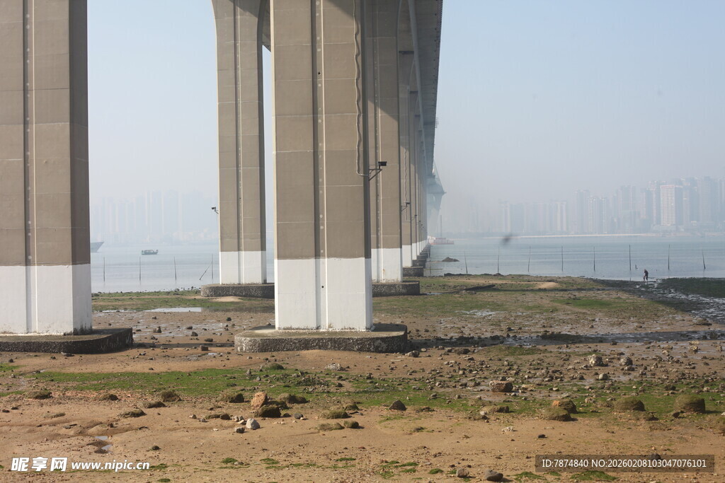 湛江宏伟桥梁屹立于开阔之地