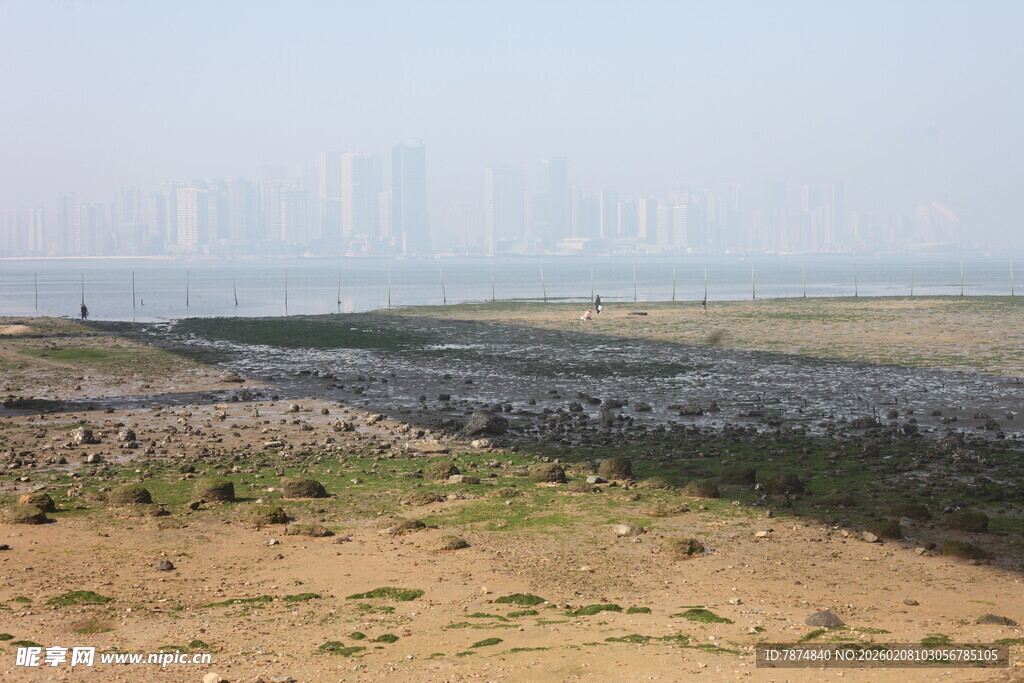 湛江海边滩涂景观