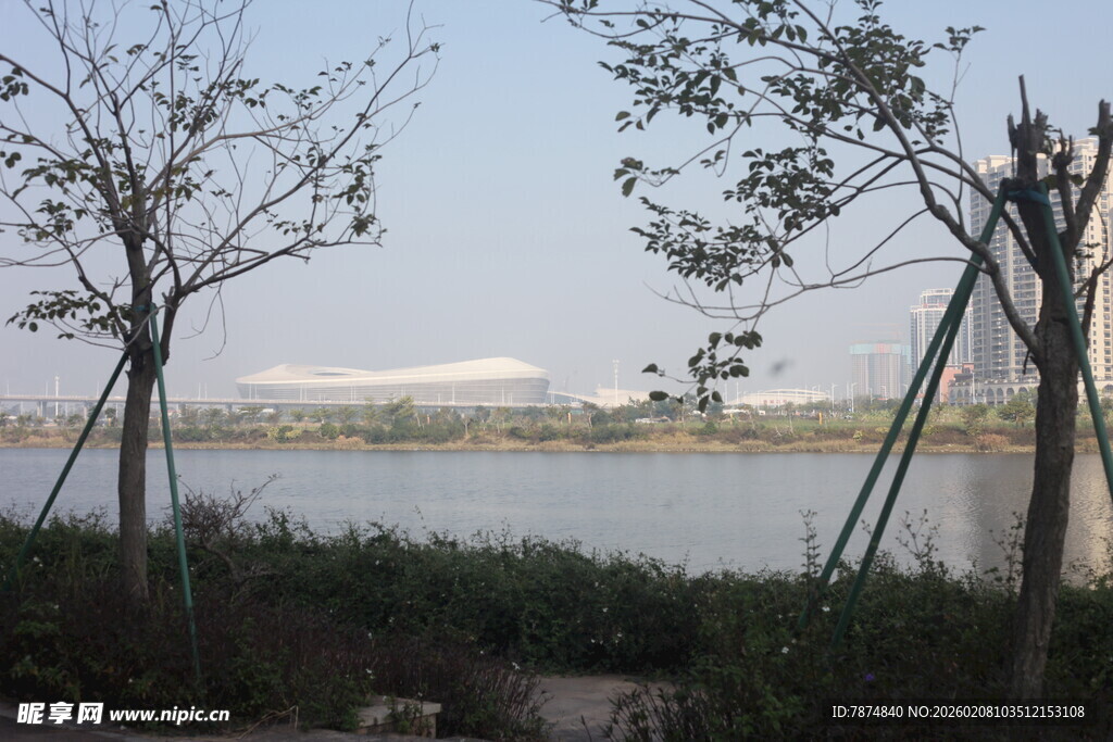 湛江湖畔树木景观