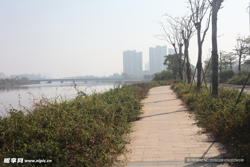 湛江河畔林荫小道风景