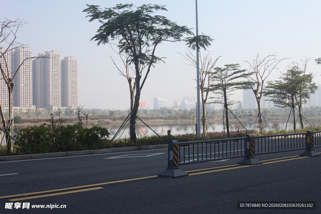 湛江城市道路旁的树木与建筑