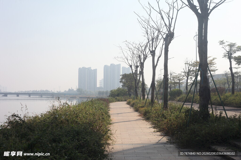 湛江河畔林荫小道风景