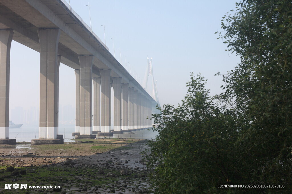 湛江河畔高架桥