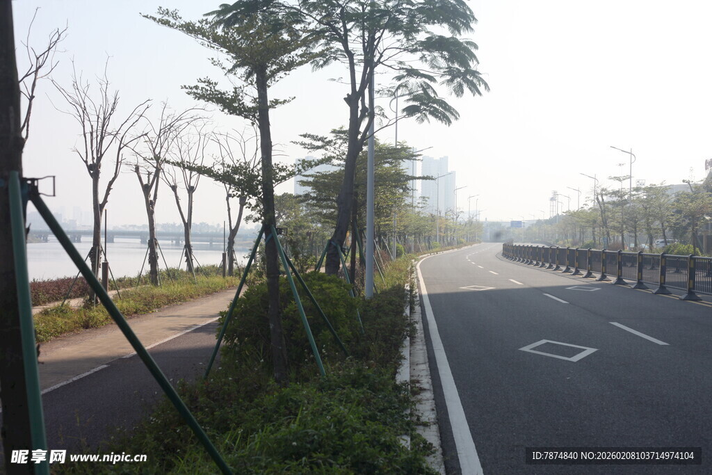 湛江湖边林荫道路风景