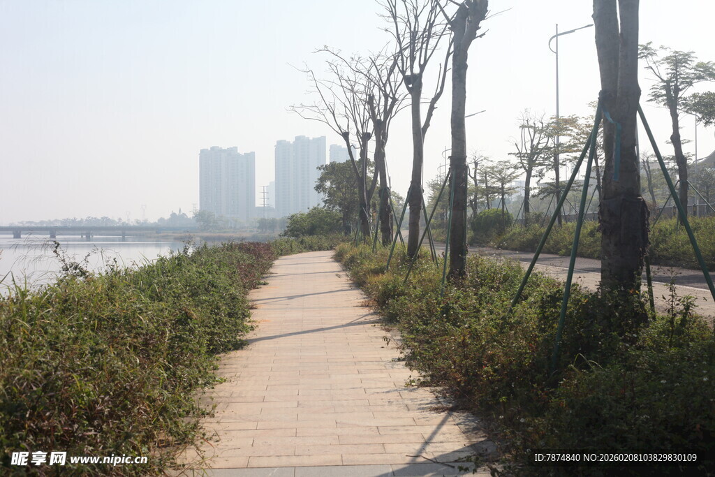 湛江城市河畔林荫步道风景