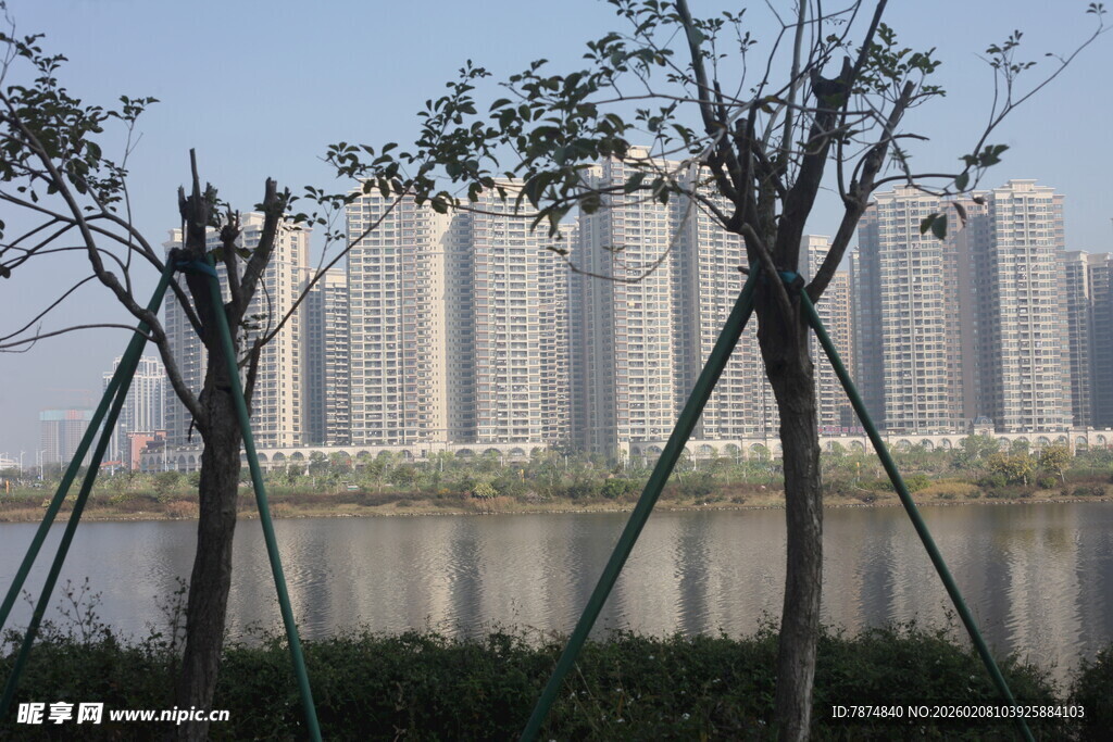 湛江湖畔高楼与新植树木景观