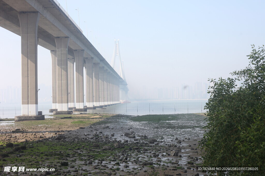 湛江江边大桥下的自然景致