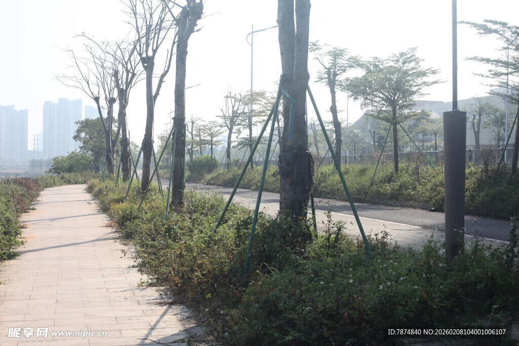 湛江城市林荫小道景观