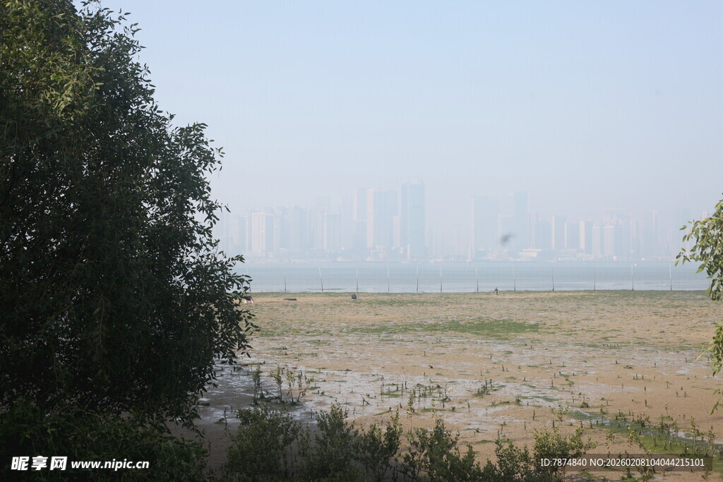 湛江城郊荒野景色