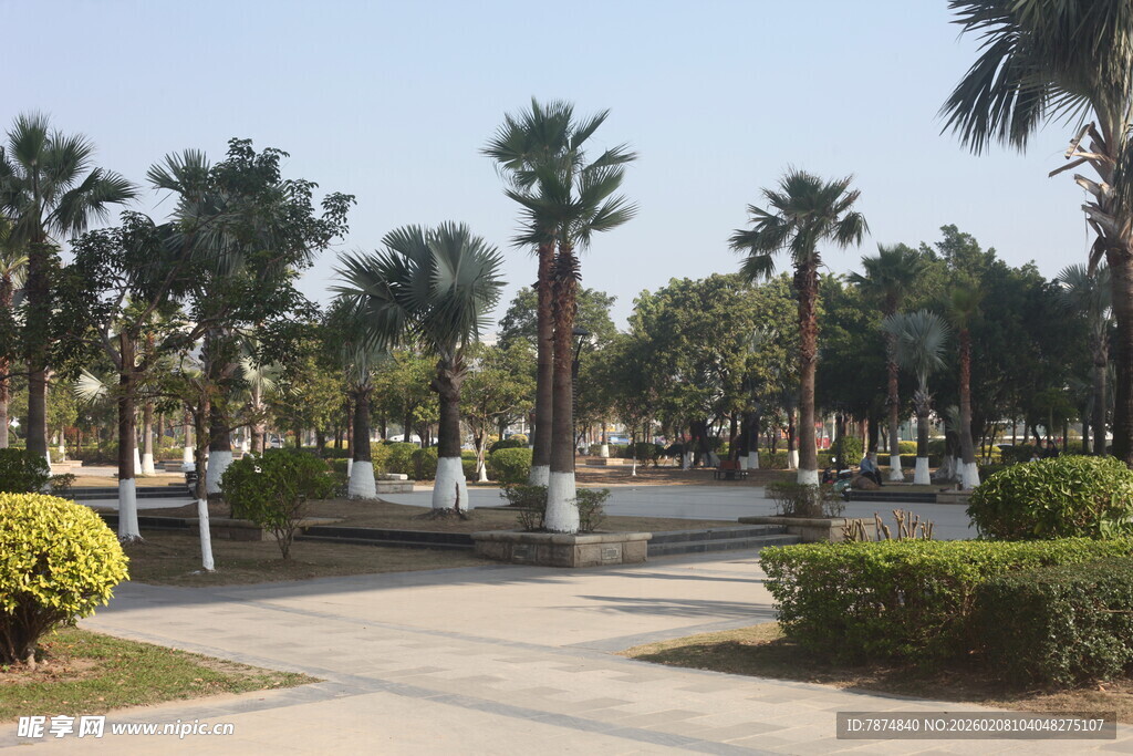 湛江阳光明媚的公园绿植景观