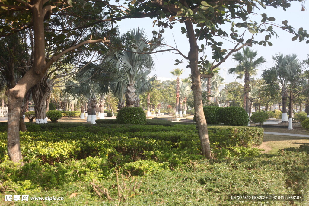 湛江绿意盎然的园林景观