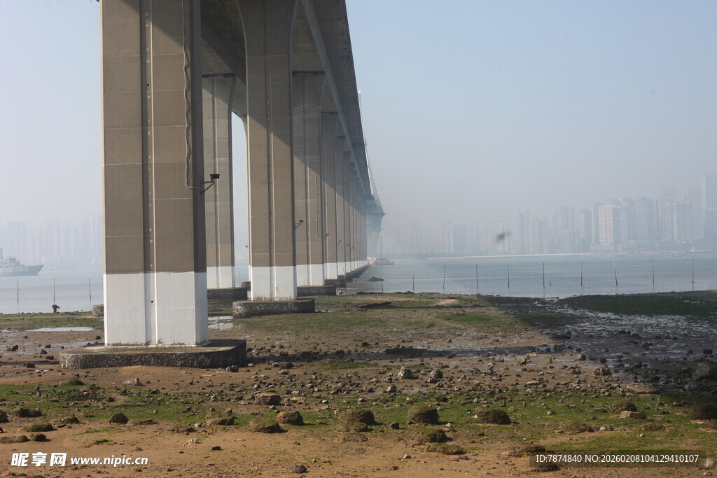 湛江江边大桥桥墩远景