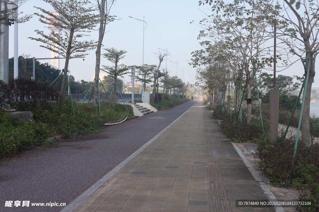 湛江城市林荫小道景观