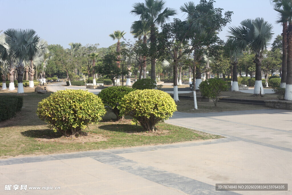 湛江公园绿植景观